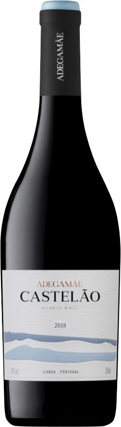 Adegamae, Castelao, 2018