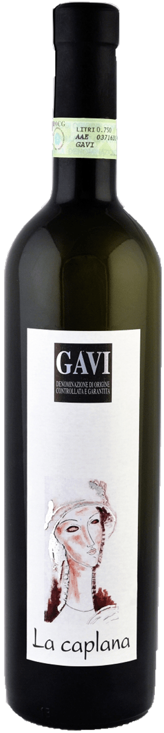 La Caplana , Gavi, 2024