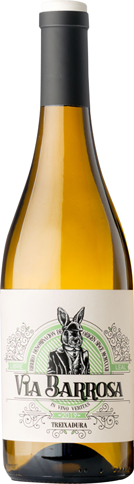 Vina Costeira, Via Barrosa AlbariÃ±o, 2024