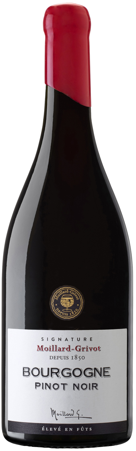 Moillard-Grivot, Signature Pinot Noir, 2023